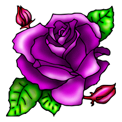 purple-rose