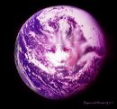 mother-moon mother-moon