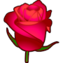 red-rose-pic red-rose-pic